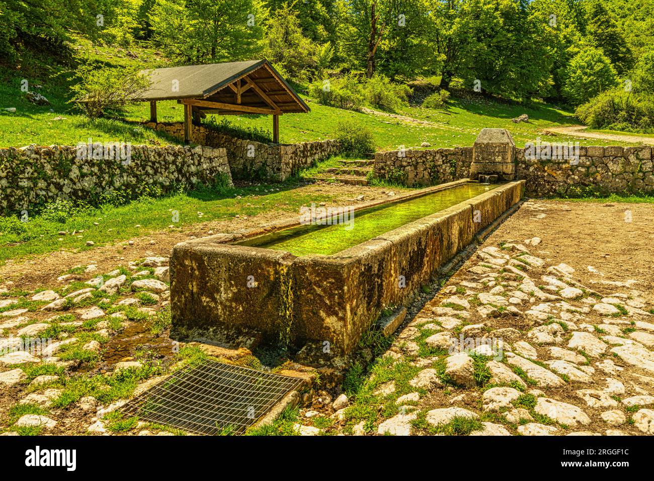 Fontana e abbeveratoio per animali ad alta quota nel Parco Nazionale d'Abruzzo, Lazio e Molise. Abruzzo, Italia, Europa Foto Stock