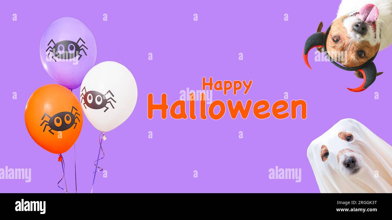 Banner panoramico per Halloween con il testo "buon Halloween". Cane che indossa costumi da vacanza e divertenti palloncini Foto Stock