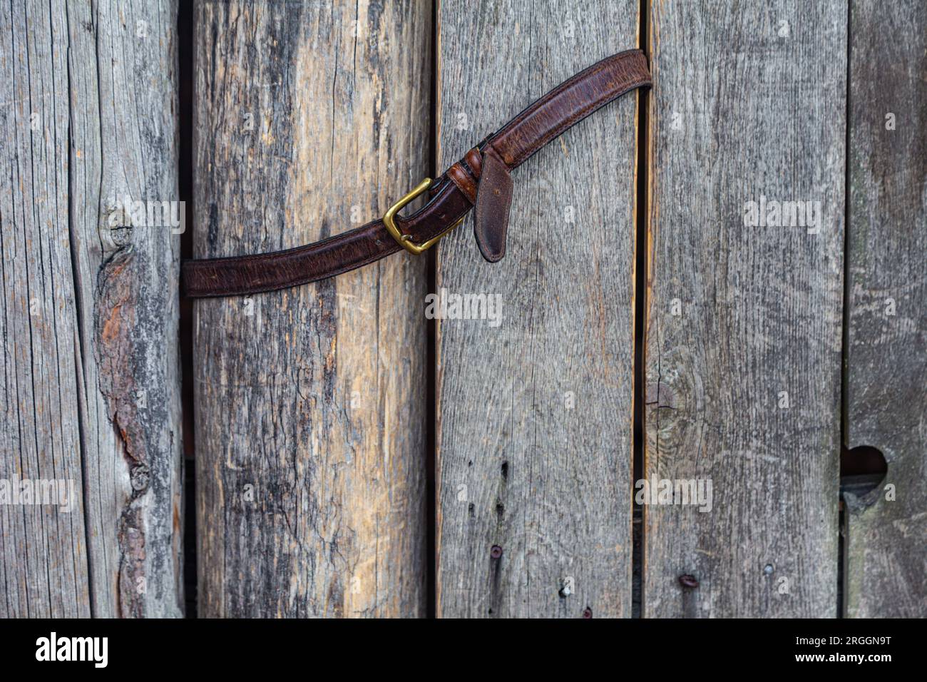 Una vecchia cintura in pelle utilizzata per trattenere un cancello oscillante in legno Foto Stock