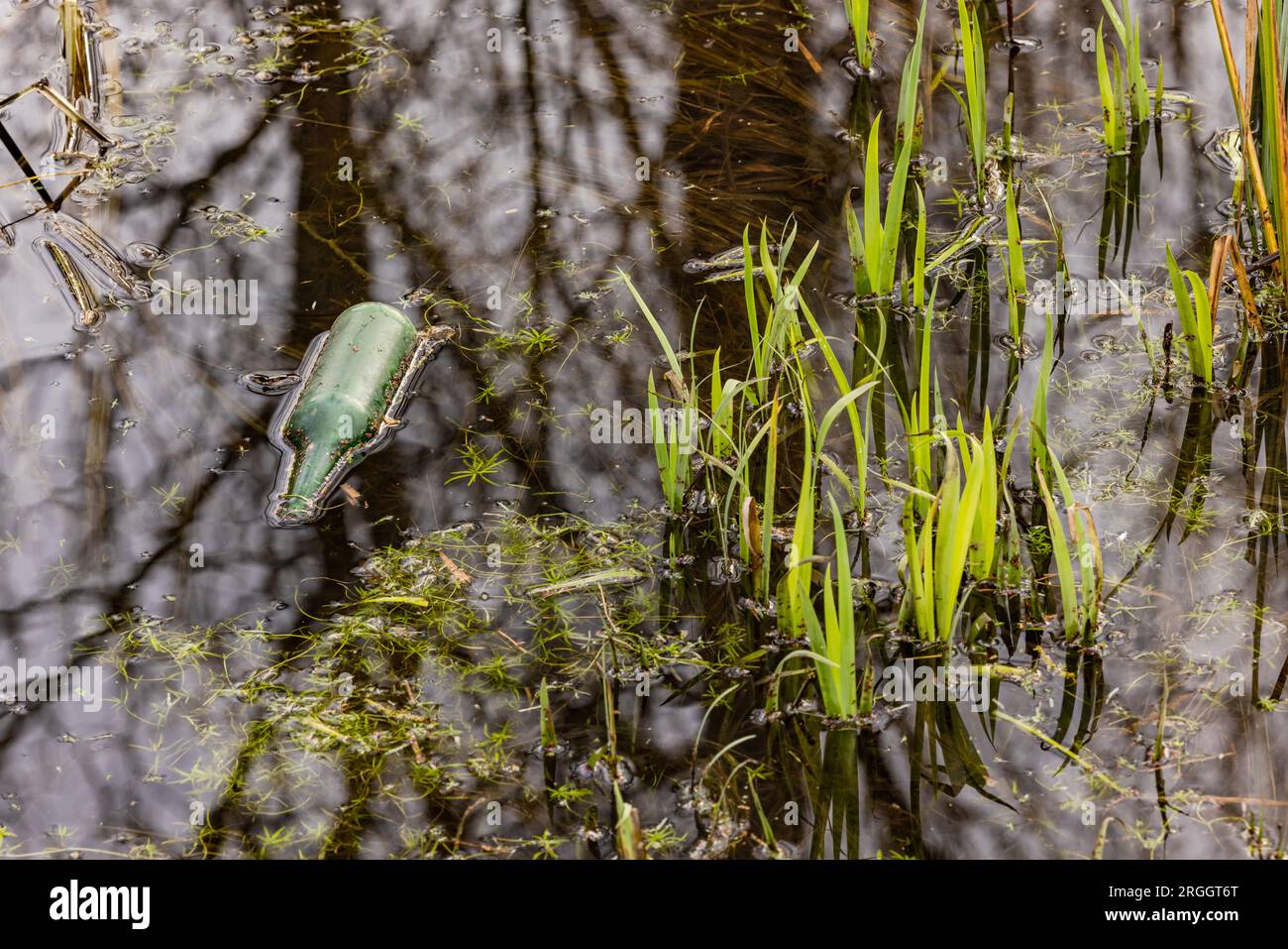 Una bottiglia di vetro verde inquina l'ambiente in un corpo d'acqua vicino alla riva Foto Stock