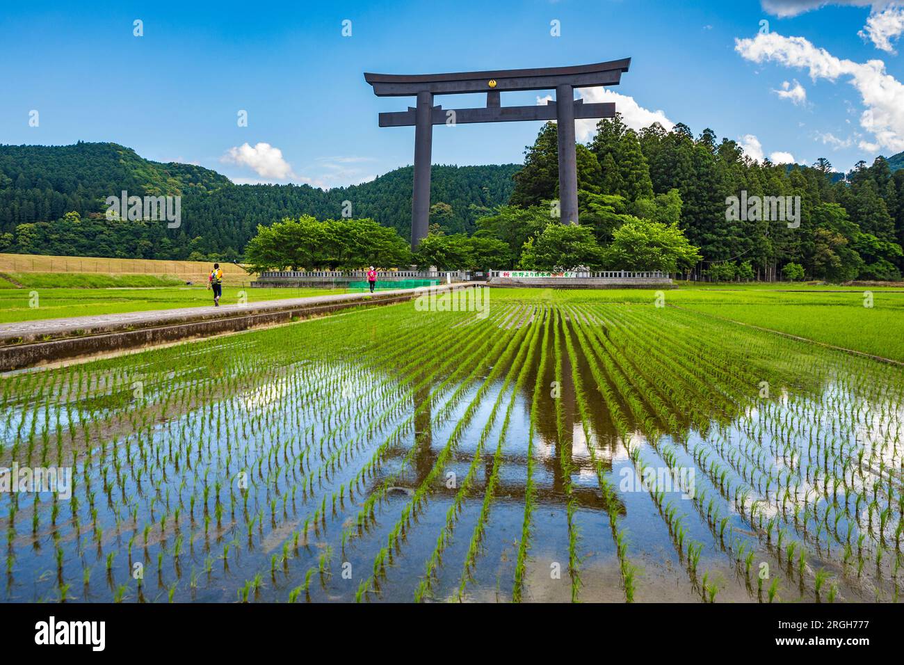 Kumano Kodo percorso del pellegrinaggio. Otorii. Tori Sacrario cancello che segna l'entrata al Oyunohara. Nakahechi. Wakayama Prefettura. Kii Peninsula. R Kansai Foto Stock