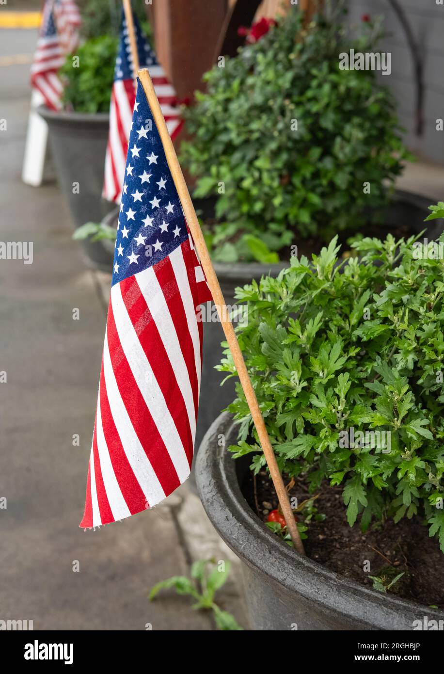 Stelle e strisce bandiera americana su un vaso con piante verdi per celebrare il 4 luglio negli Stati Uniti. Impianto in vaso patriottico fuori casa. Pat Foto Stock