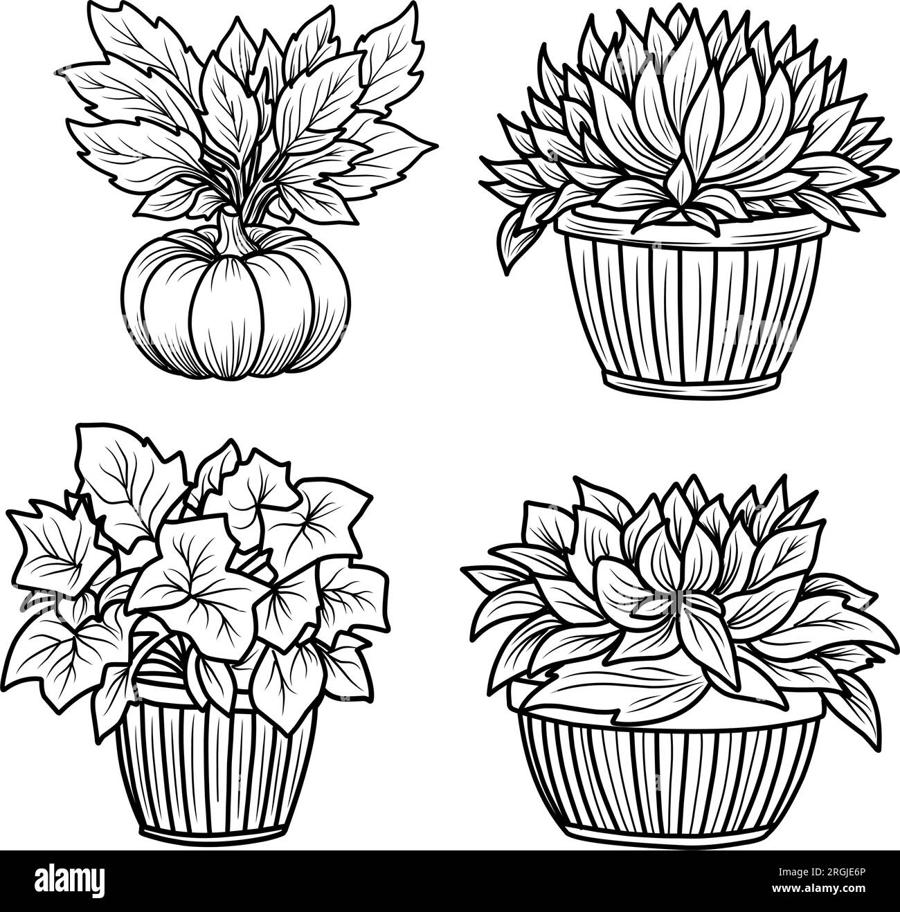 Set di pagine da colorare autunnali con zucche e girasoli.illustrazione lineare in bianco e nero per l'autunno Illustrazione Vettoriale