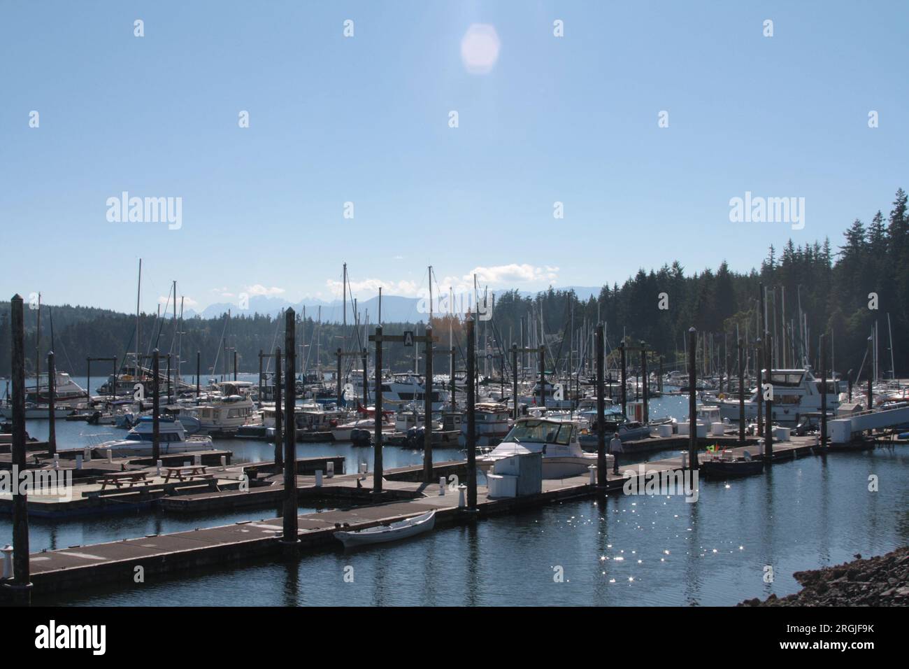 Barche attraccate su un lago a Washington Foto Stock