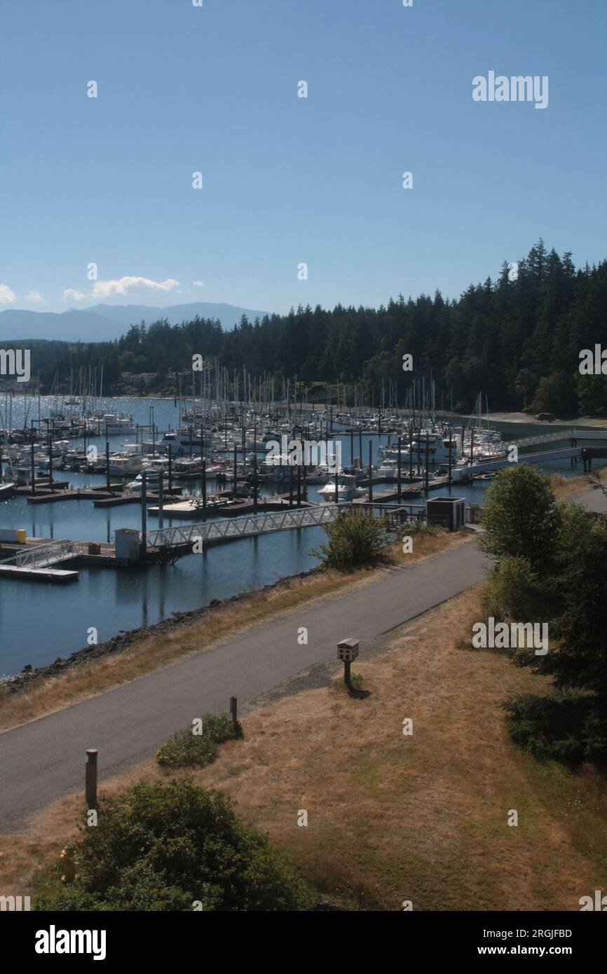 Barche attraccate su un lago a Washington Foto Stock