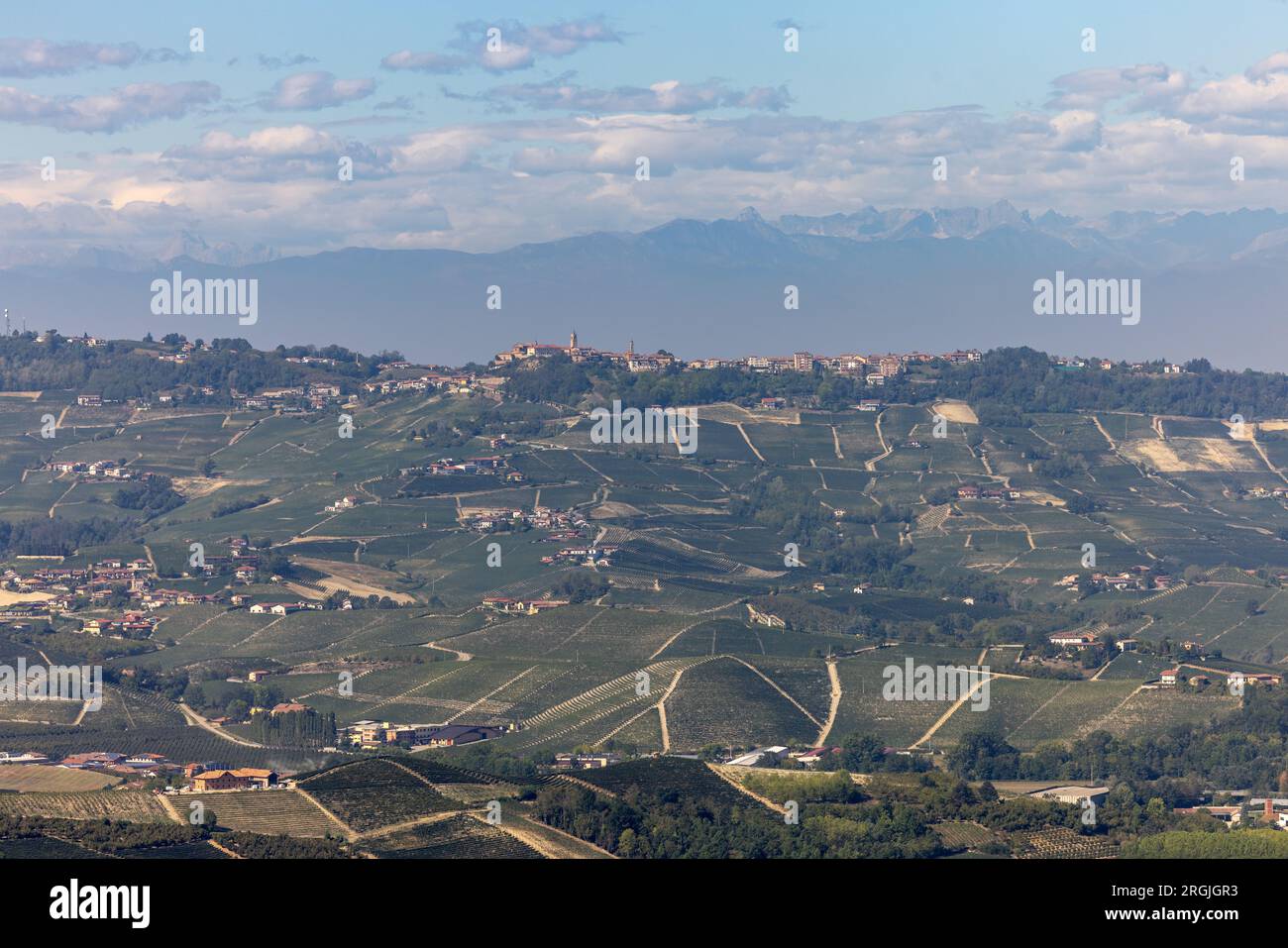 Vista delle colline delle Langhe-Roero e dei vigneti da Diano d'Alba in Piemonte. Italia Foto Stock