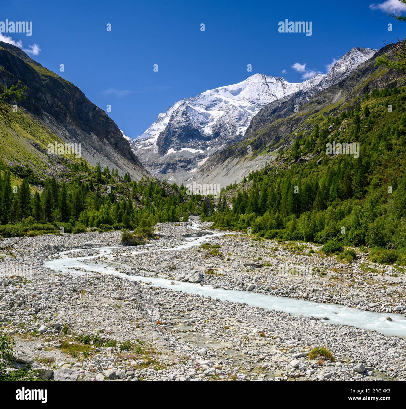 Letto selvaggio del fiume Navisence in Val d'Annivers con la vetta del Grand Cornier, Vallese Foto Stock