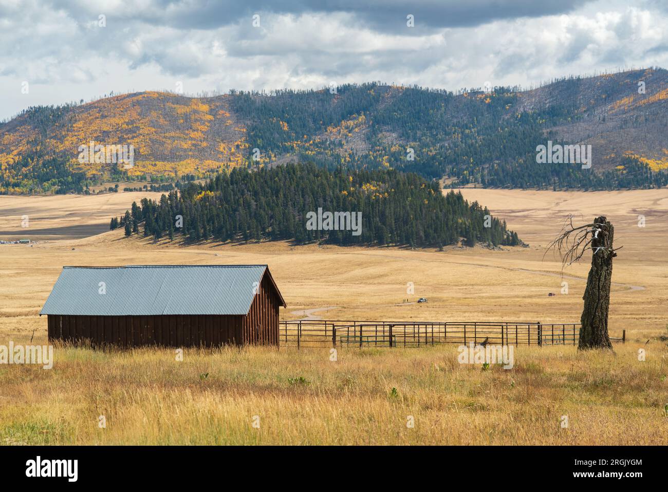 Valles Caldera National Preserve nel New Mexico Foto Stock