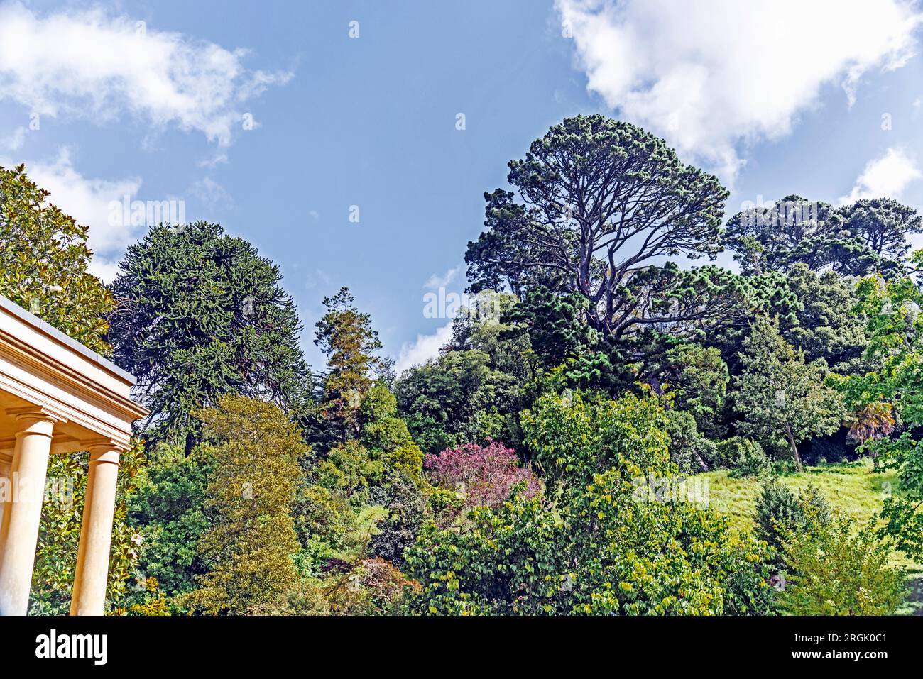 Greenway, ex casa di Agatha Christie Foto Stock