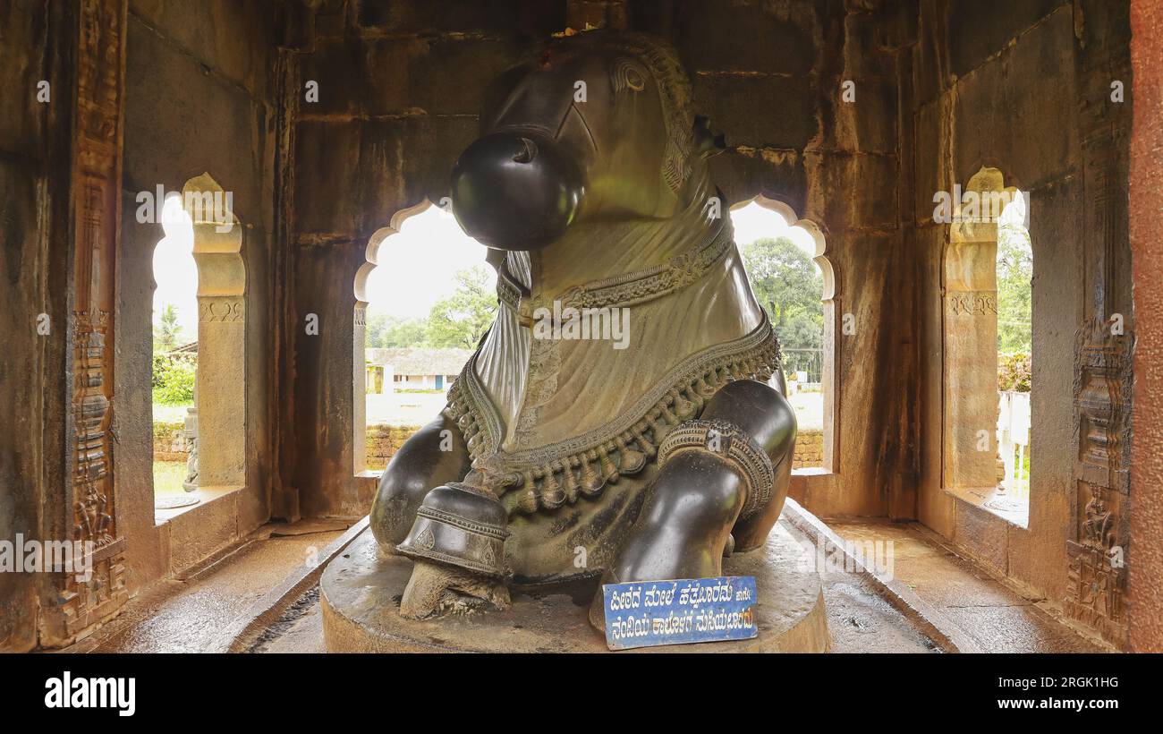 Scultura di Nandi di fronte al Tempio di Aghoreshwara, Ikkeri, Shimoga, Karnataka, India Foto Stock