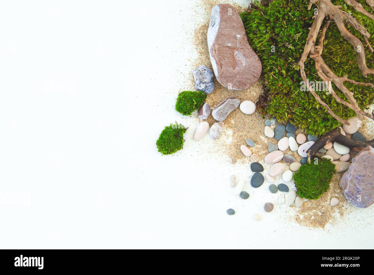 Muschio verde, pietre, sabbia e torbido su sfondo bianco. Sfondo ecologico, spazio di copia, spazio per il testo. Foto Stock
