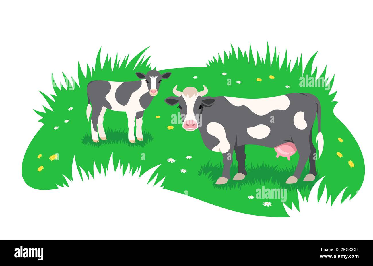 Mucca bianca e nera con piccolo vitello che pascolano in un prato verde. Bestiame allevato all'aperto, concetto di agricoltura ecologica. Semplice illustrazione piatta stilizzata Illustrazione Vettoriale