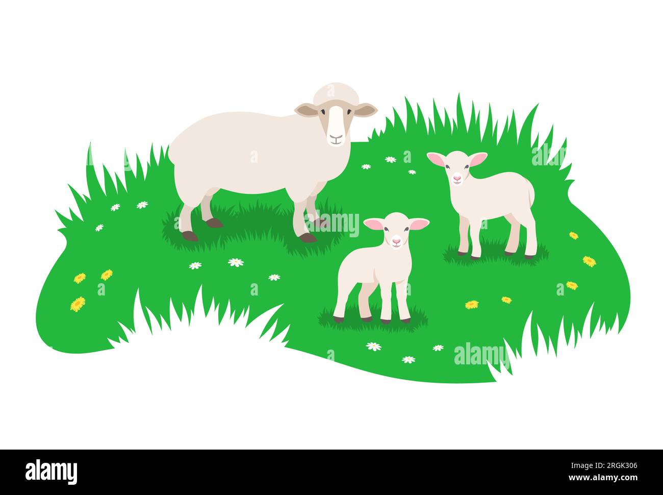 Pecore e i suoi due piccoli agnelli che pascolano nel prato verde. Semplice illustrazione vettoriale piatta Illustrazione Vettoriale