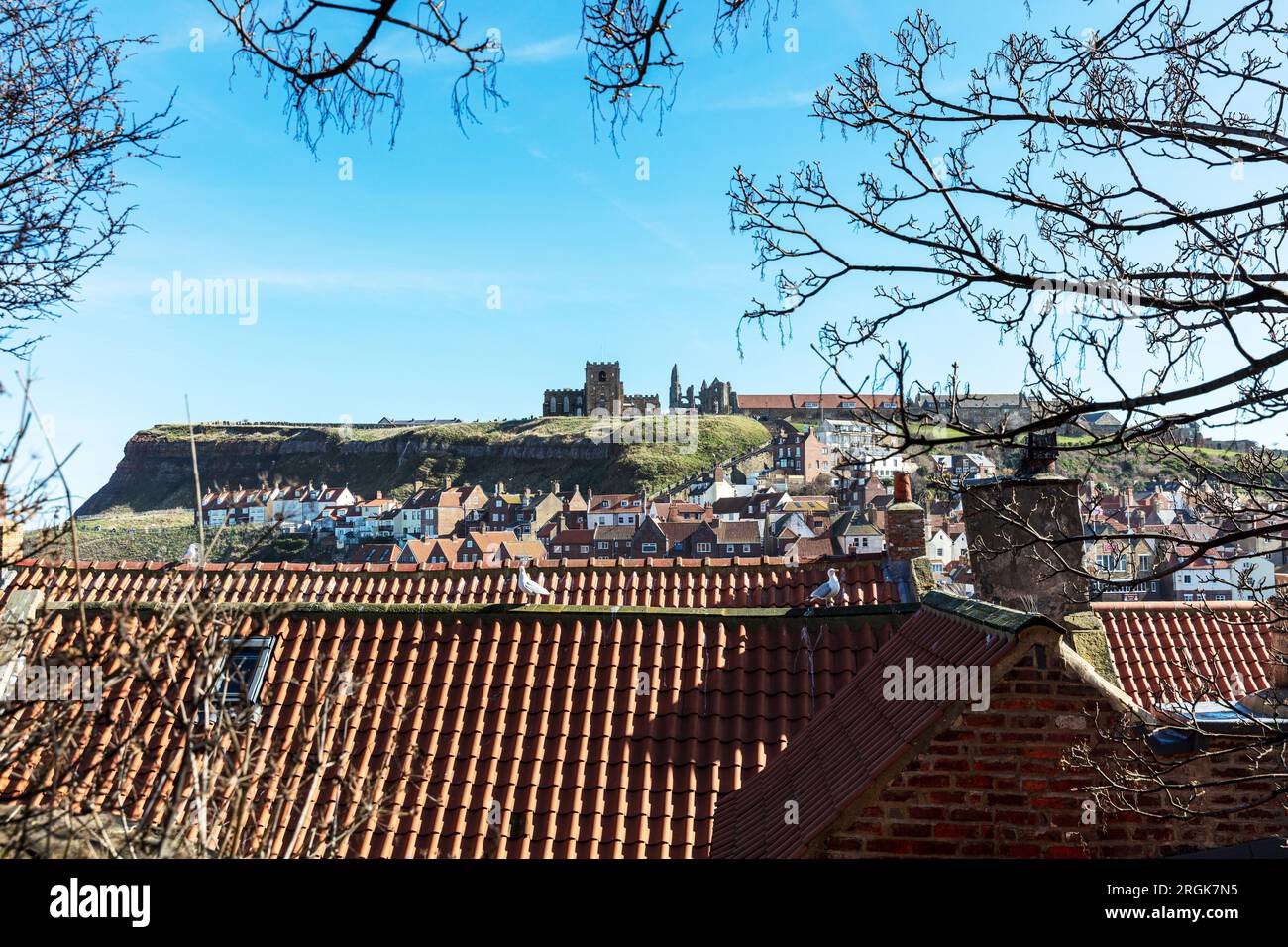 Whitby Town, Yorkshire, Regno Unito, Inghilterra Foto Stock