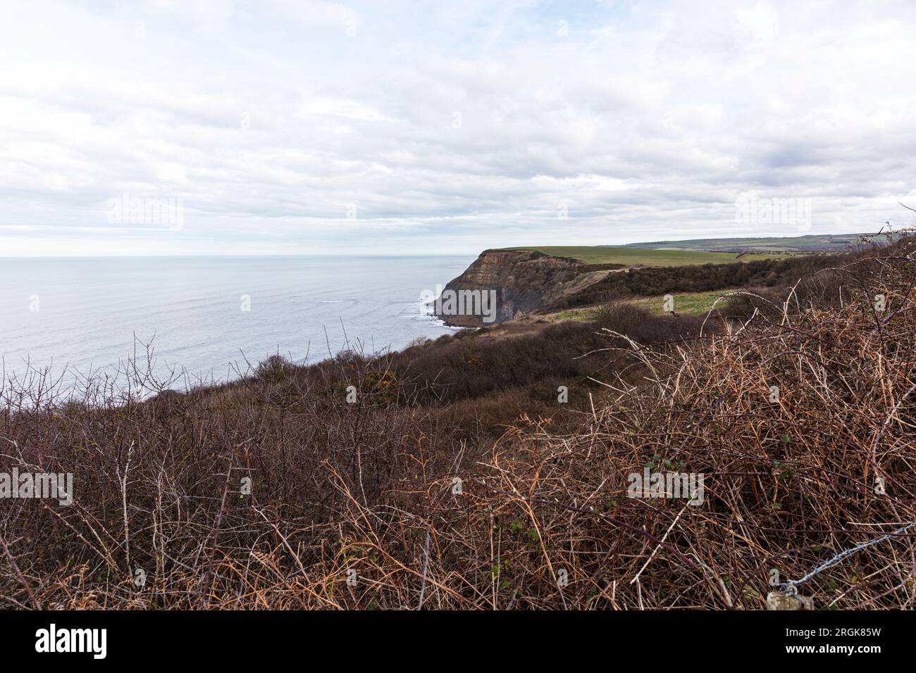 Cleveland Way, North Yorkshire Coast, Regno Unito, Inghilterra, Cleveland Way Trail, escursione in Cleveland Way, passeggiata in Cleveland Way, passeggiata costiera in Cleveland Way, costa, Foto Stock