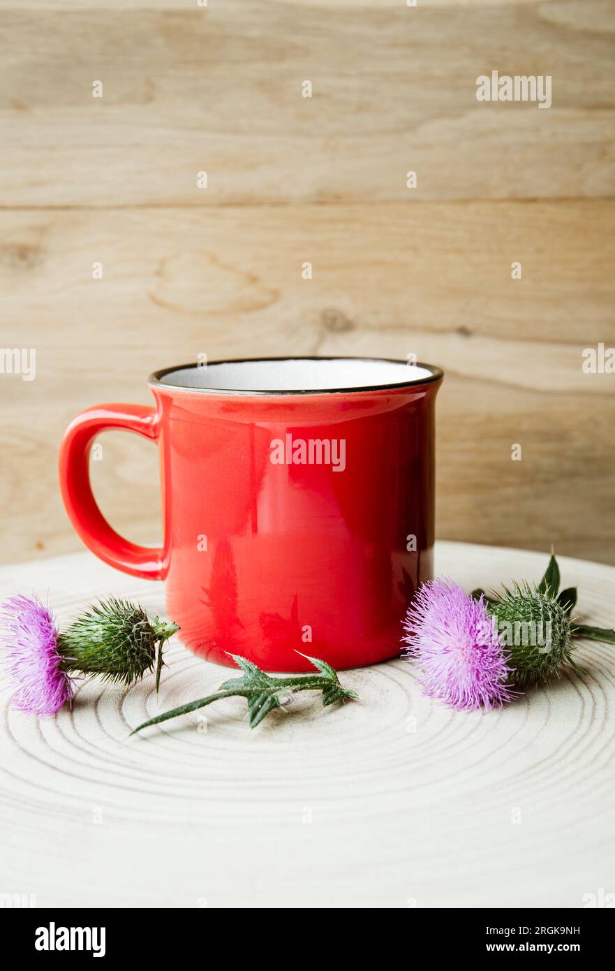 Onopordum acanthium, cardo di cotone, fiori di cardo scozzese o scozzese con tazza di tè alle erbe. Cucina casalinga al chiuso. Concetto di erboristeria. Foto Stock