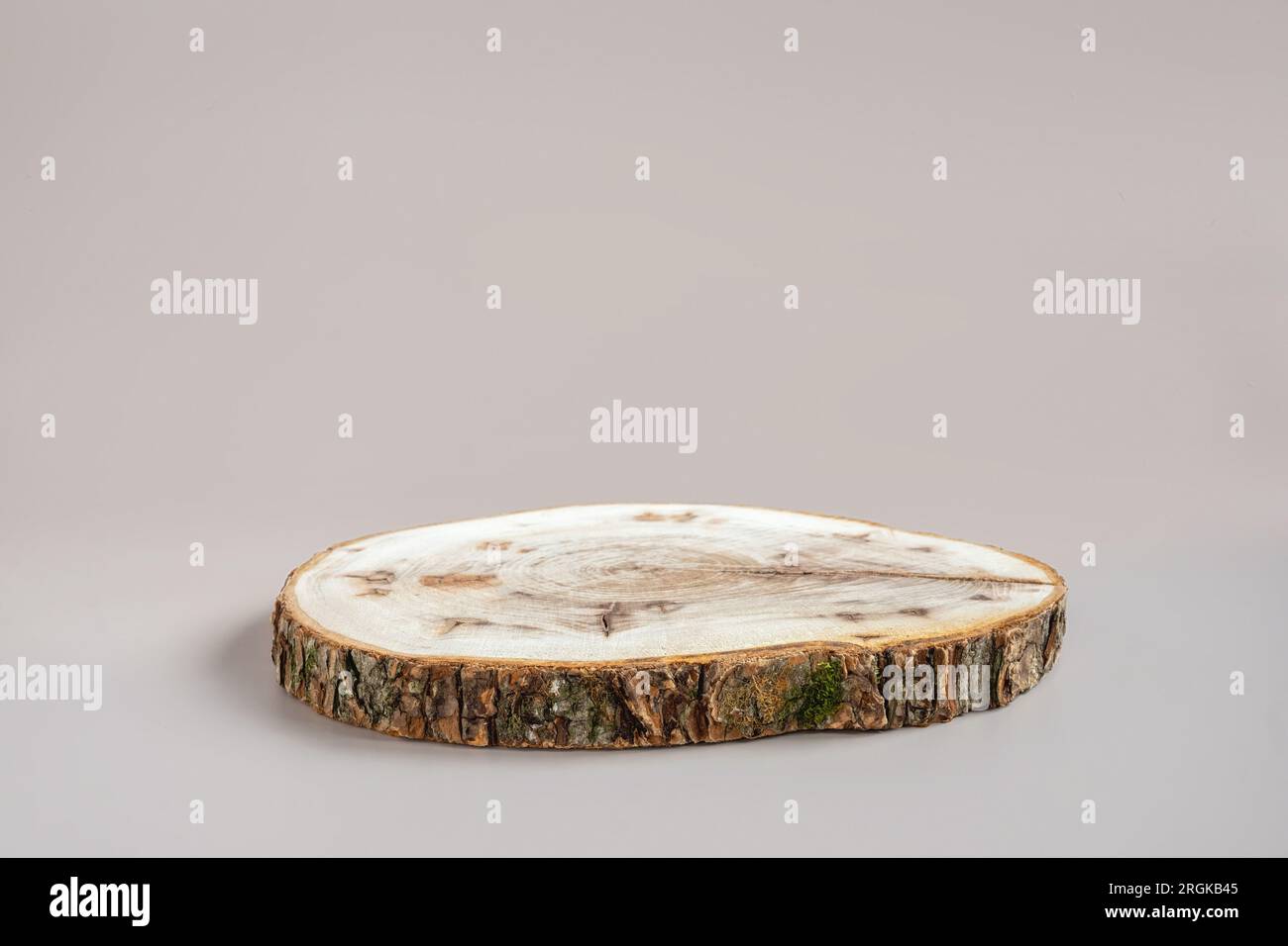 Podium di legno con bark. Lastra di legno reale. Forma naturale rotonda vuota. Piedistallo per prodotti, cosmetici ecologici, gioielli. Stile minimal alla moda M Foto Stock