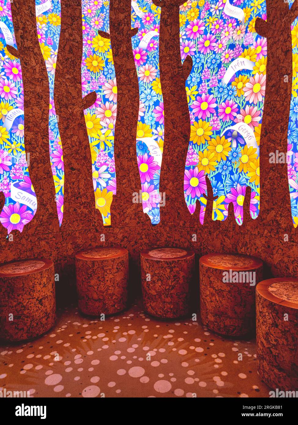 Uno dei pezzi interessanti e colorati della mostra permanente del Museo Ferenc Móra di Seghedino Foto Stock