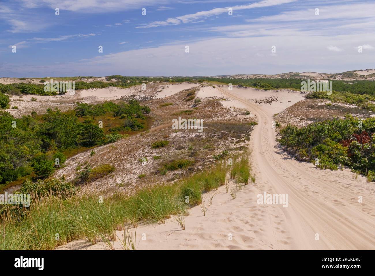 Provincetown Dunes nel National Seashore Park, Cape Cod, Massachusetts, USA Foto Stock