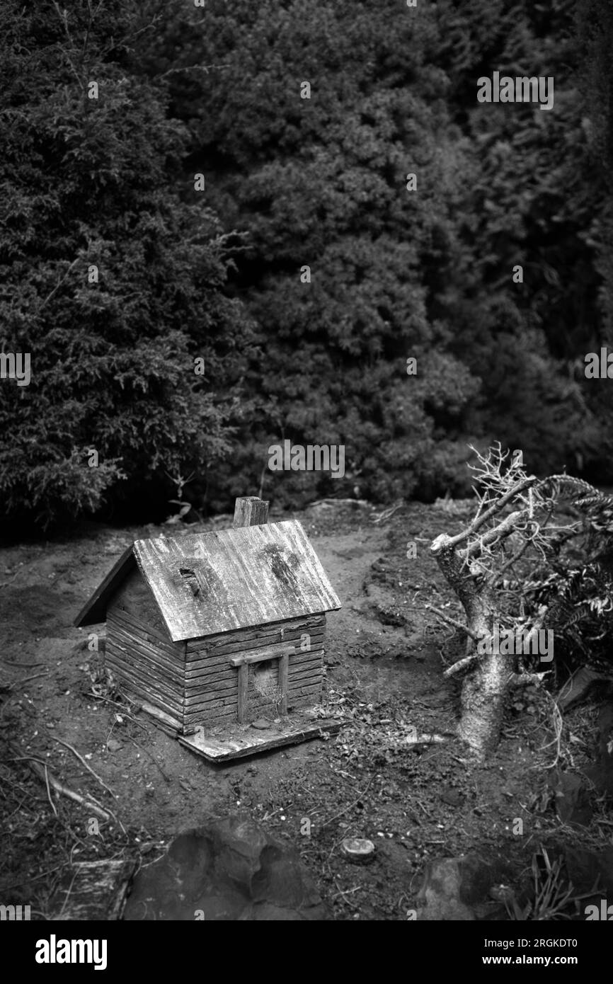 Immagine in bianco e nero di una cabina in legno con alberi. Foto Stock