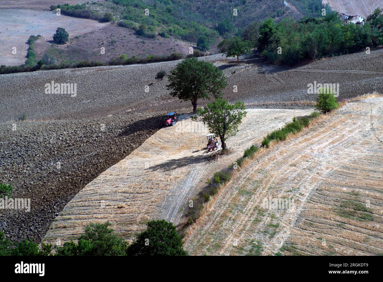 Lavori agricoli di aratura in un campo Foto Stock