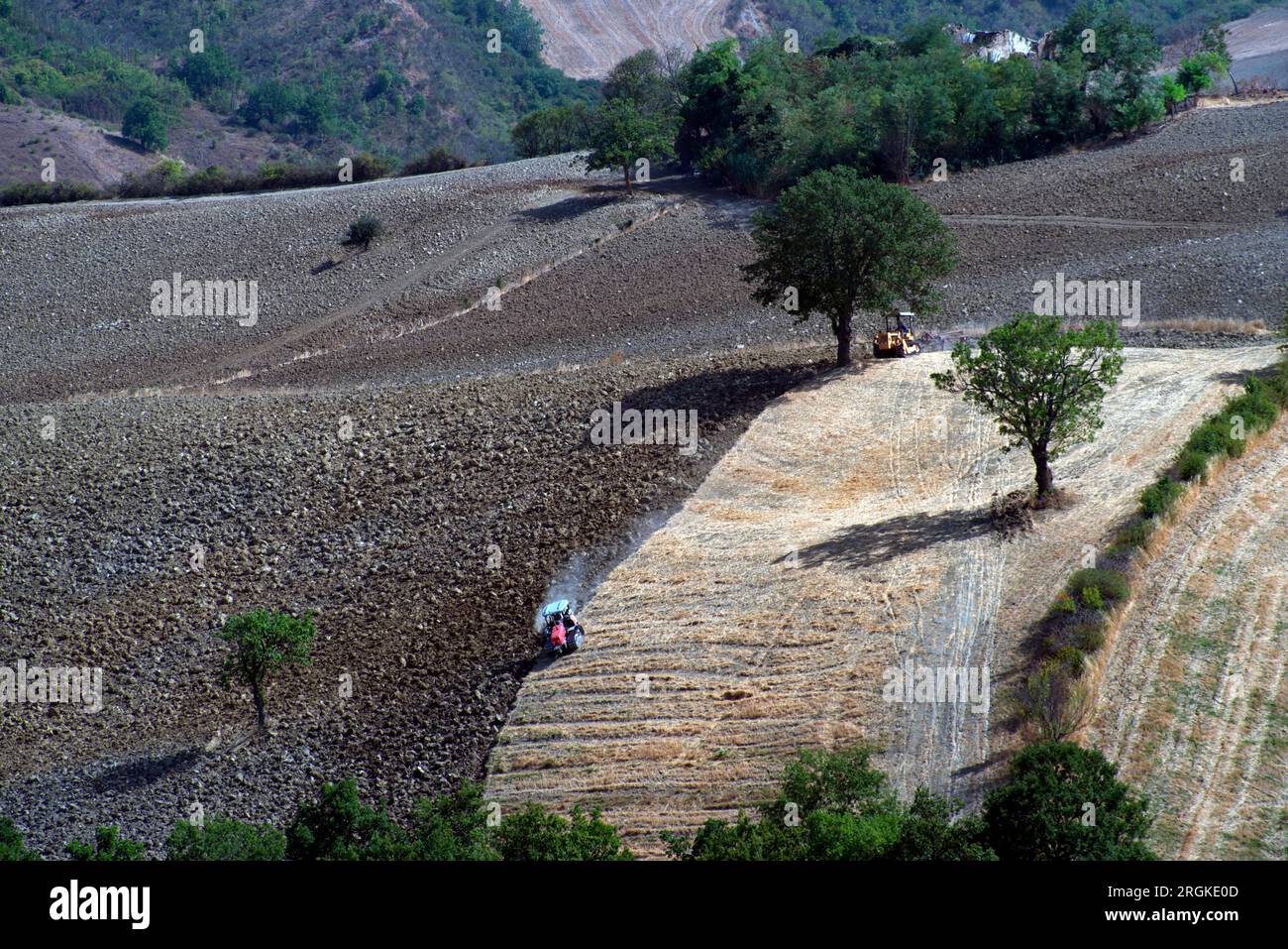 Lavori agricoli di aratura in un campo Foto Stock