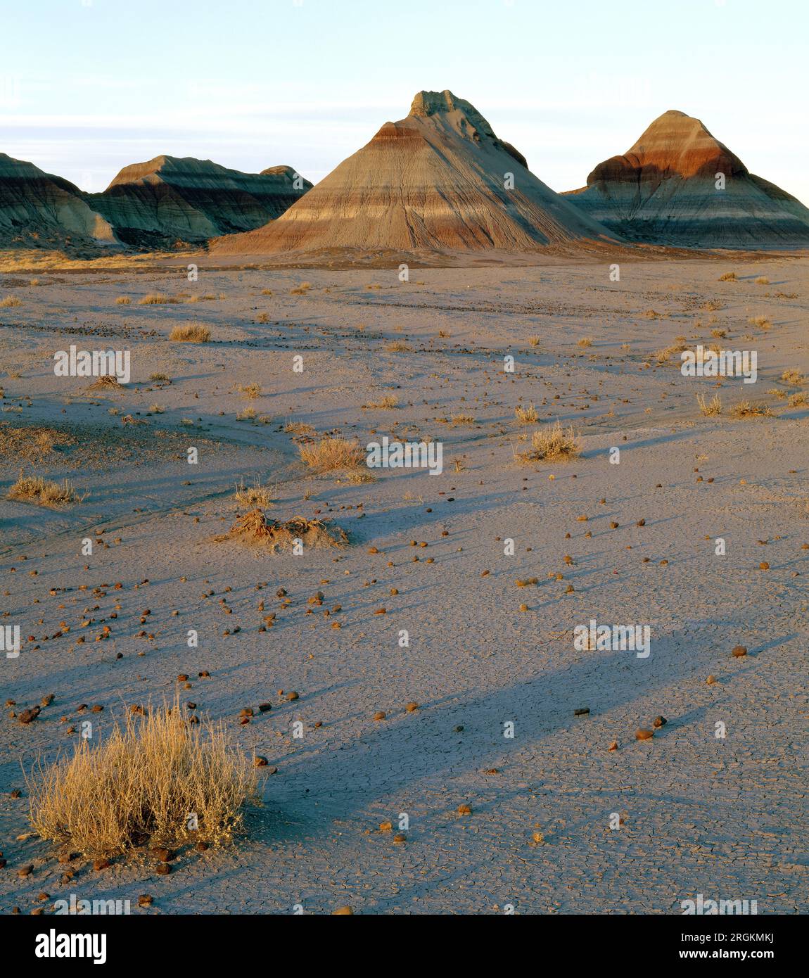 Parco Nazionale della Foresta Pietrificata, Arizona Foto Stock