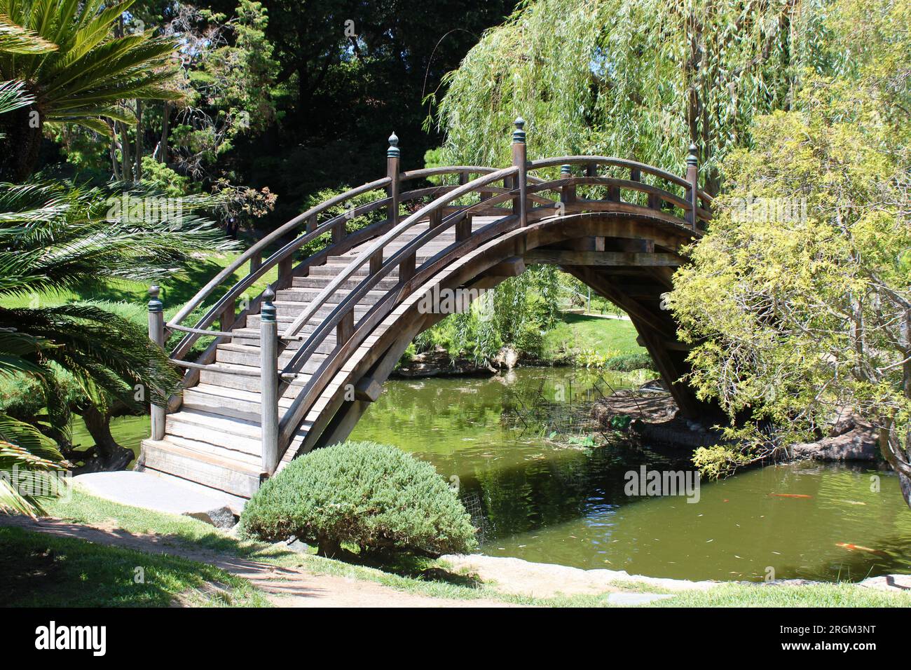 Moon Bridge, Japanese Garden, Huntington Gardens, San Marino, California Foto Stock