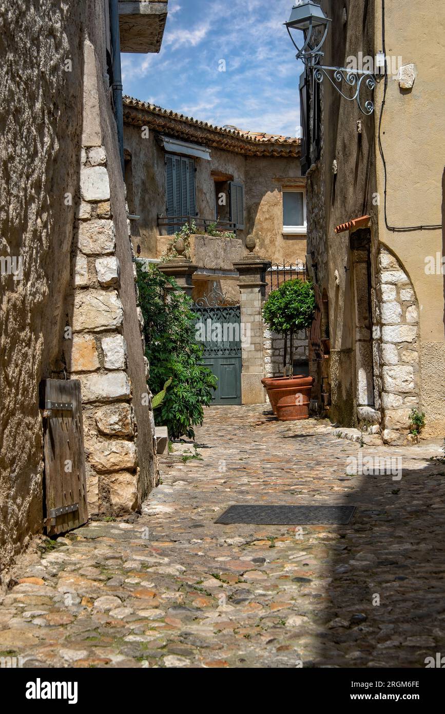 Passerella acciottolata a Nizza, Francia, con accenti di edera verde. Foto Stock