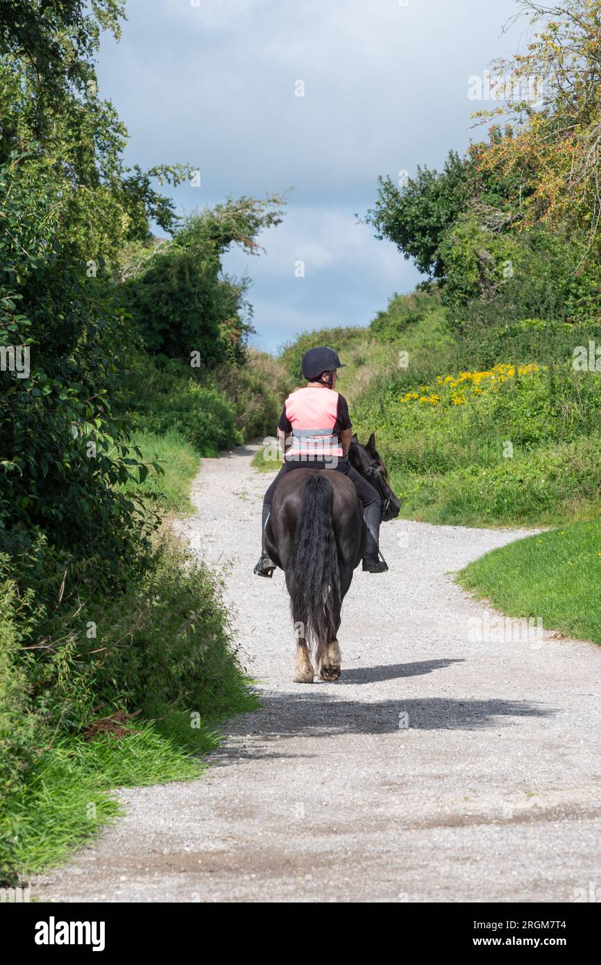 Donna che cavalca il suo cavallo su una corsia di ponte nella campagna dell'Hampshire durante l'estate, Inghilterra, Regno Unito Foto Stock