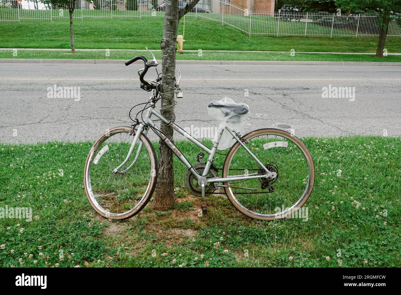 una vecchia bicicletta d'epoca bloccata su un albero Foto Stock