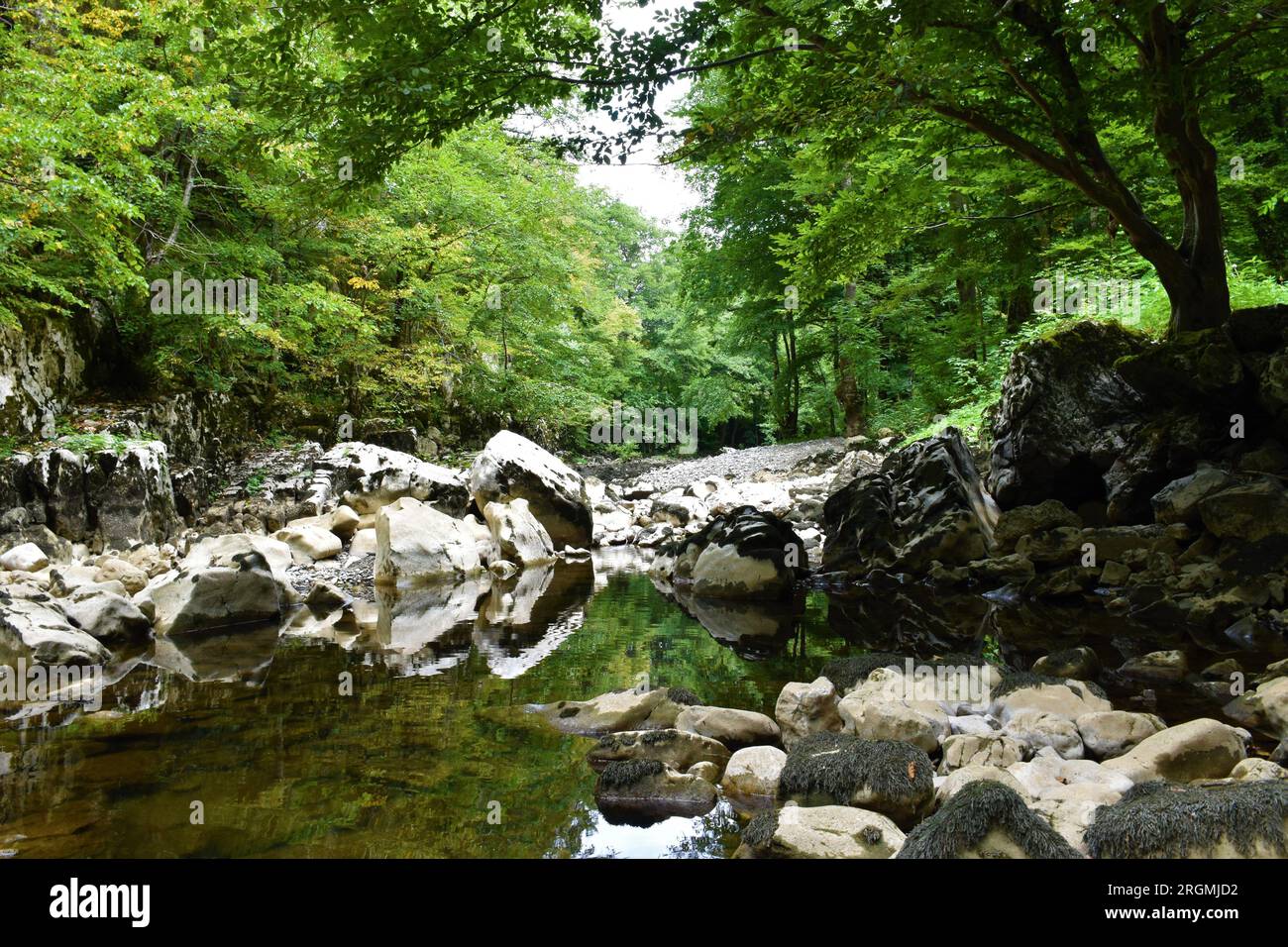 Fiume Reka a basso flusso d'acqua con una piccola piscina e un riflesso delle rocce bianche nella piscina vicino Matavun nella regione Littoral della Slovenia Foto Stock
