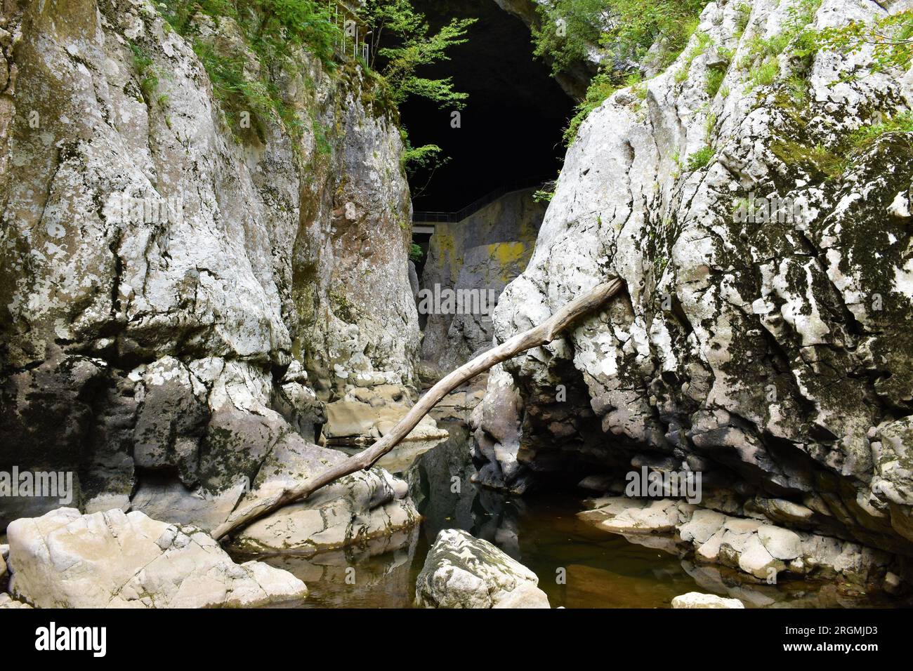 Ingresso del fiume Reka a basso flusso d'acqua nelle grotte di Skocjan nel comune di Divaca nella regione litorale della Slovenia Foto Stock