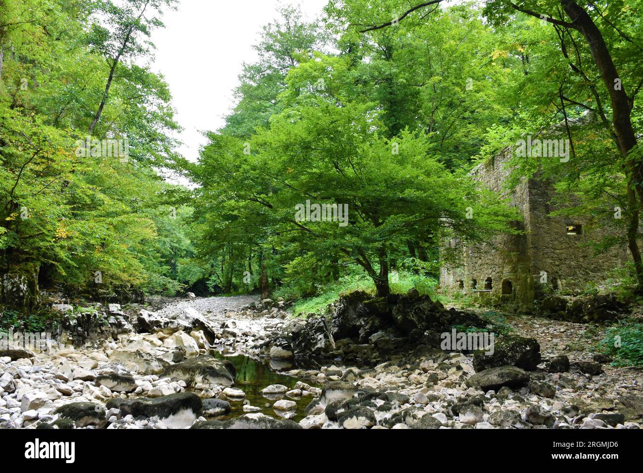 Letto fluviale del fiume Reka a basso flusso d'acqua con rocce bianche vicino a Matavun nel comune di Divaca nella regione Littoral della Slovenia con grandi rovine Foto Stock