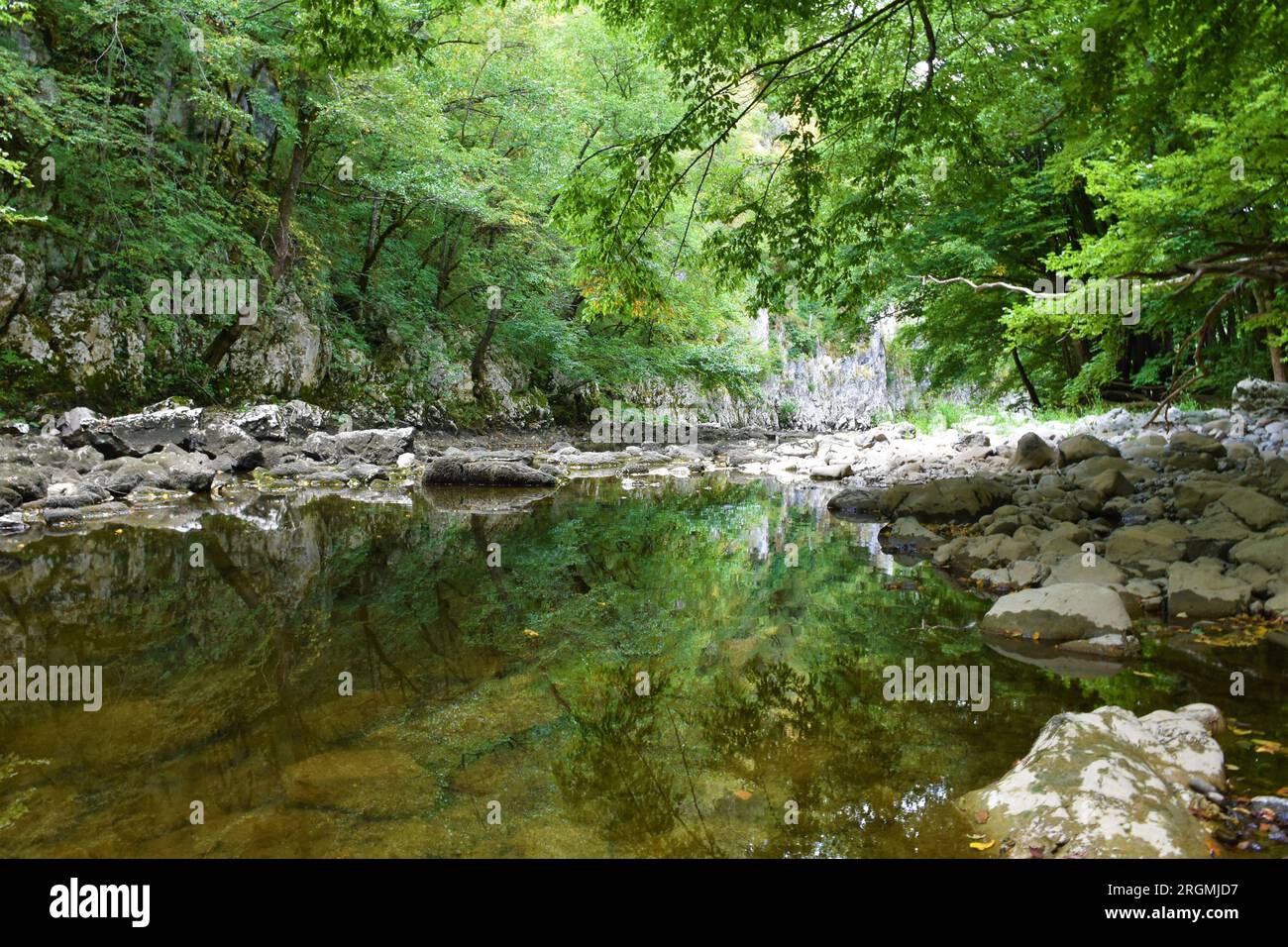 Fiume Reka a basso flusso d'acqua con un riflesso degli alberi in acqua nella regione carsica della Slovenia Foto Stock