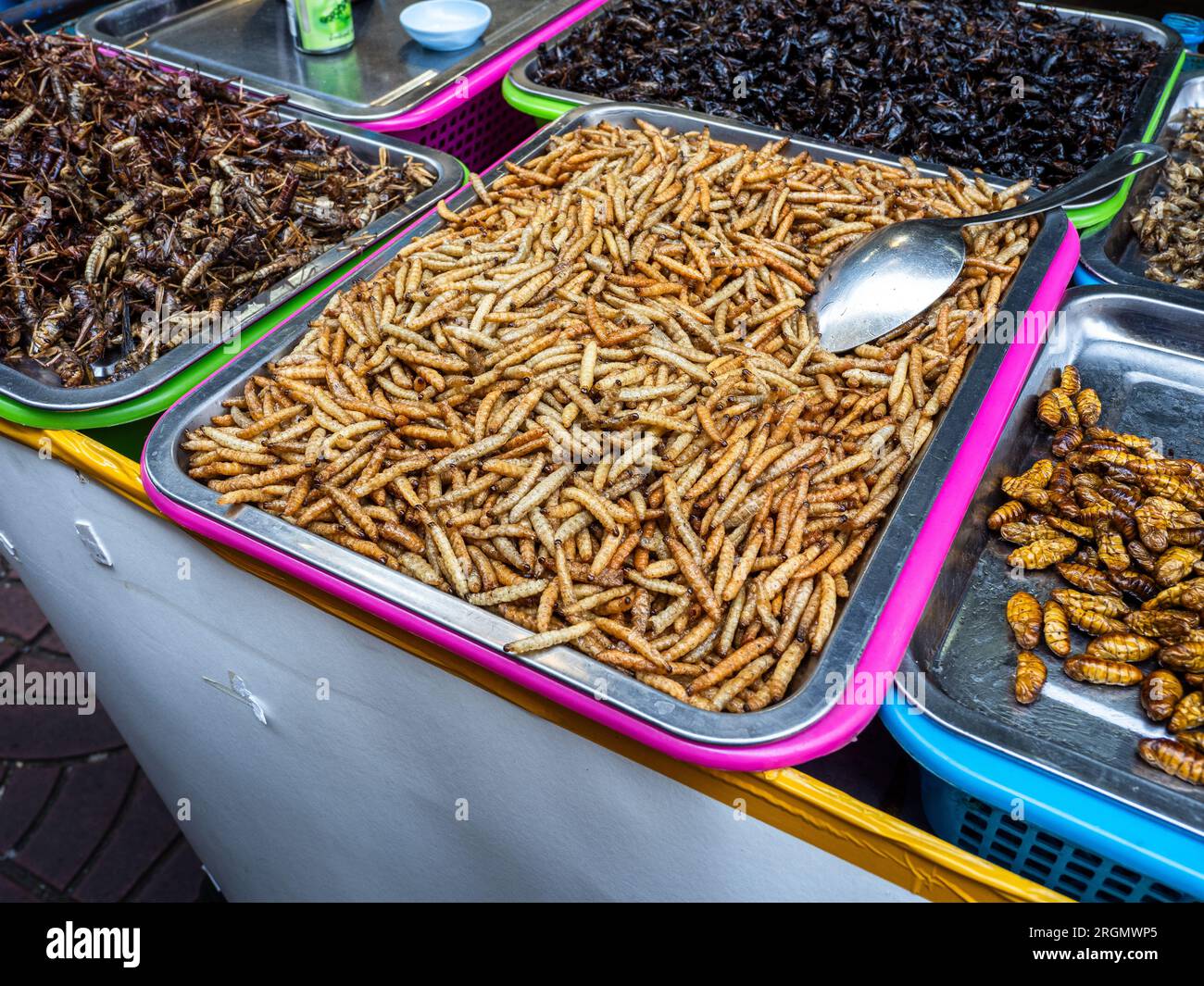 In un vivace mercato di strada a Bangkok, in Thailandia, troverai deliziose offerte di insetti e vermi commestibili. Foto Stock
