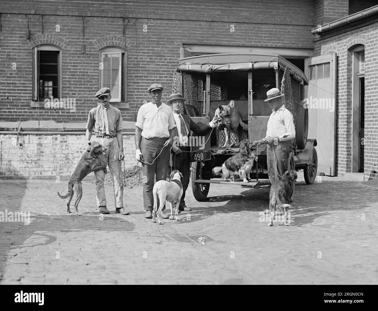 I cani d'epoca che stanno in piedi con i cani che hanno recentemente catturato CA. 1924 Foto Stock