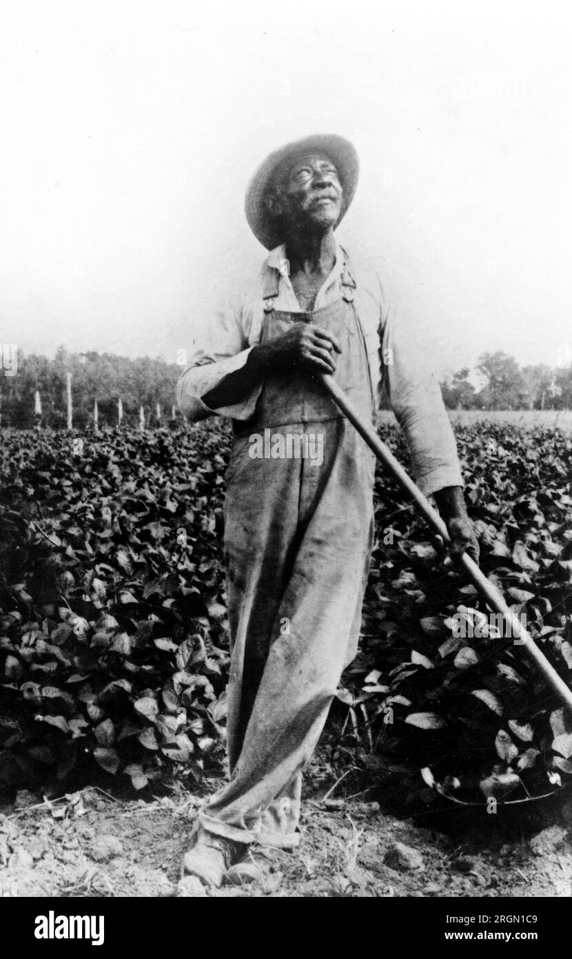 Ritratto a figura intera di un uomo afro-americano, in piedi in un campo, con una zappa, che guarda verso l'alto ca. 1909-1932 Foto Stock