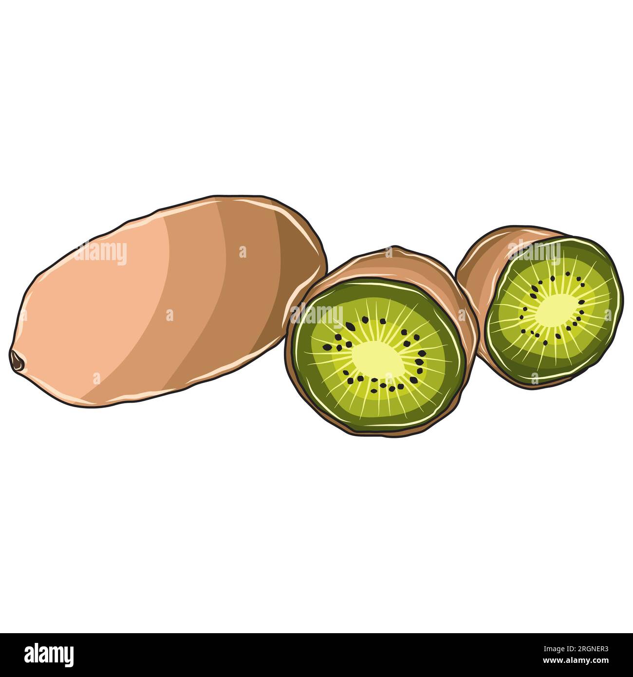 Immagine vettoriale o illustratrice del kiwi verde concentrata principalmente sul verde, sottolineando la brillantezza dei colori per apparire più vivaci Foto Stock