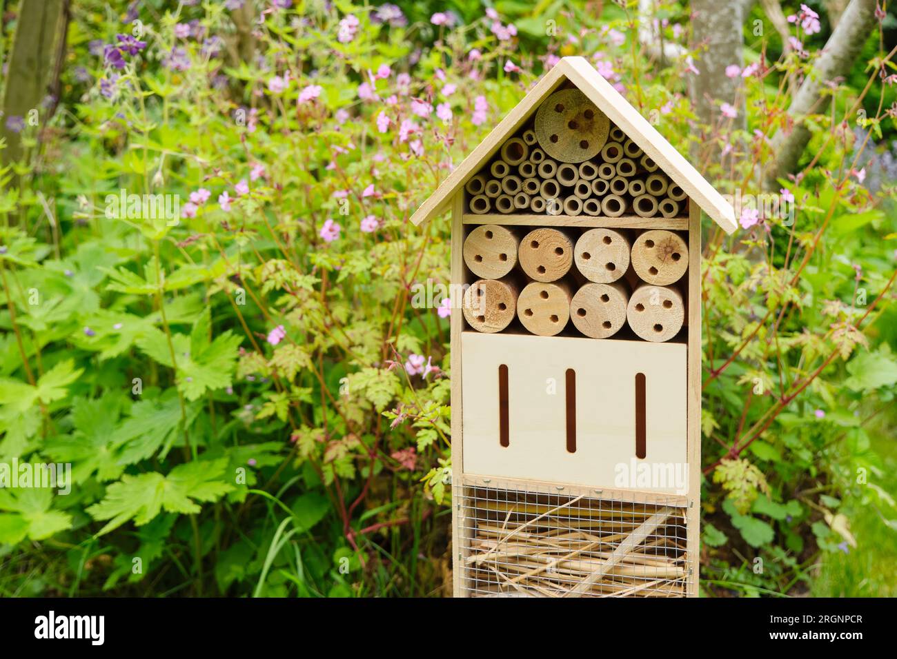 Un hotel di insetti o di api in un giardino estivo. Un hotel di insetti è una struttura artificiale creata per fornire riparo per insetti di varie forme Foto Stock