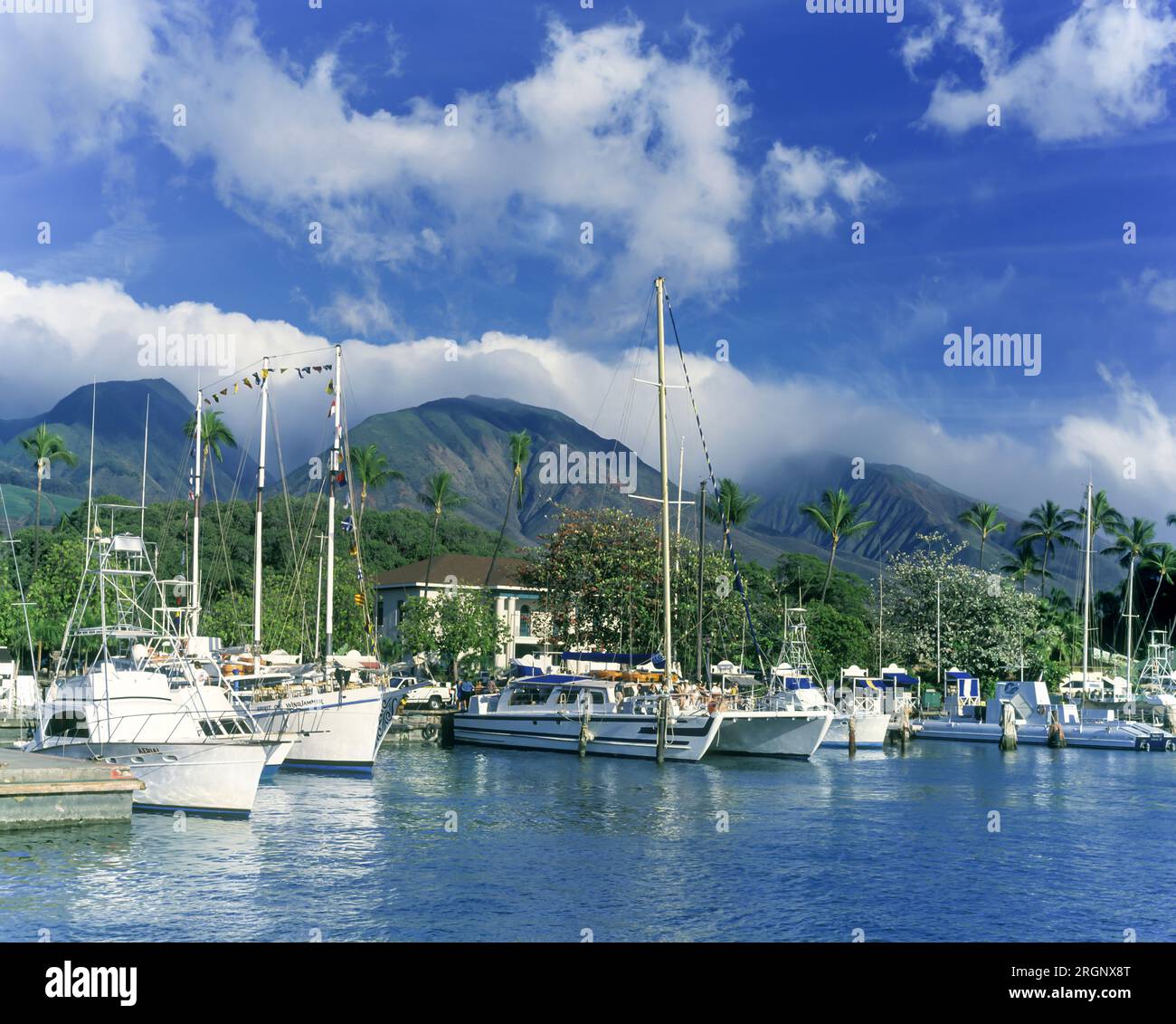 1994 HISTORIC YACHTS QUAY LAHAINA HARBOR MAUI HAWAII USA Foto Stock