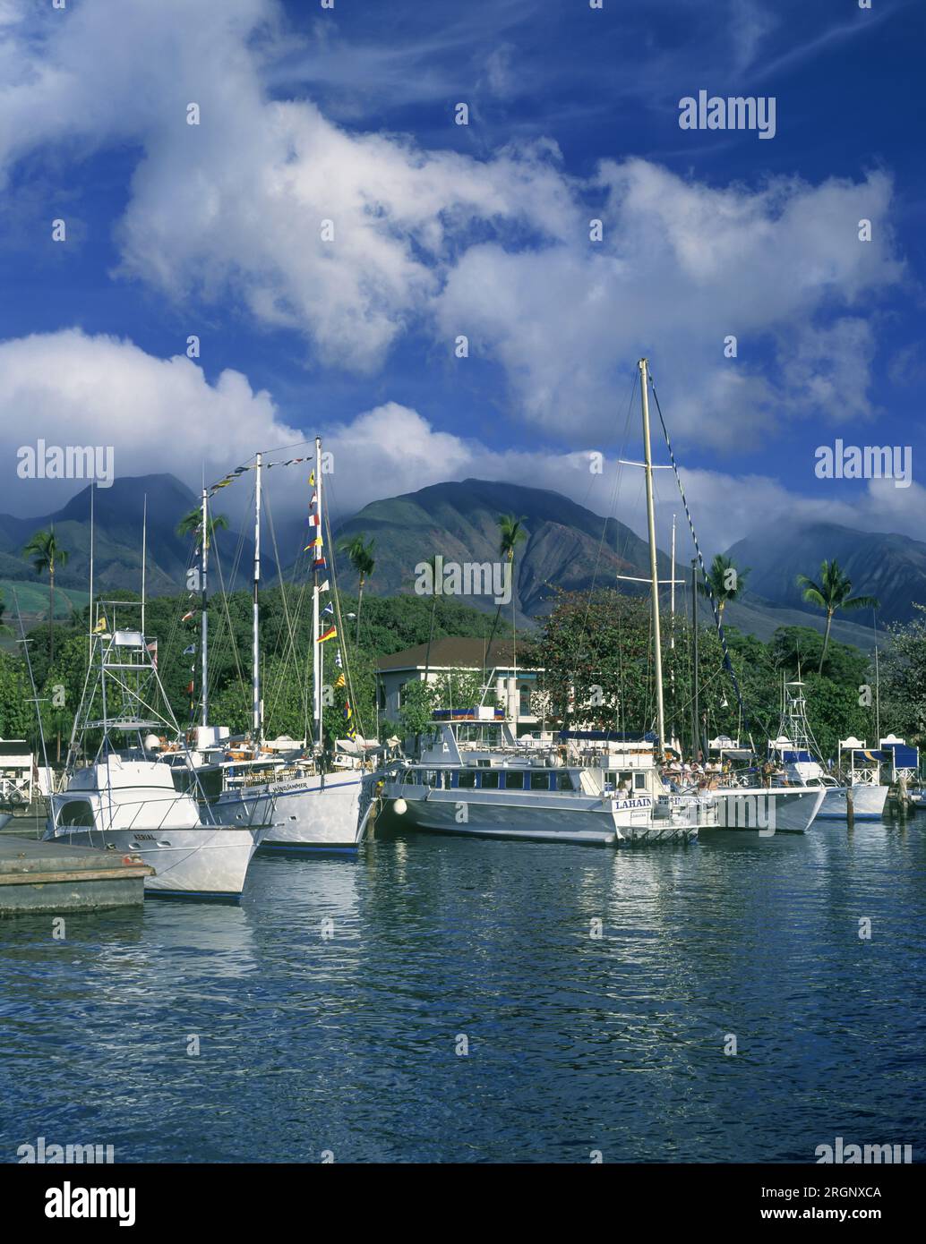 1994 HISTORIC YACHTS QUAY LAHAINA HARBOR MAUI HAWAII USA Foto Stock