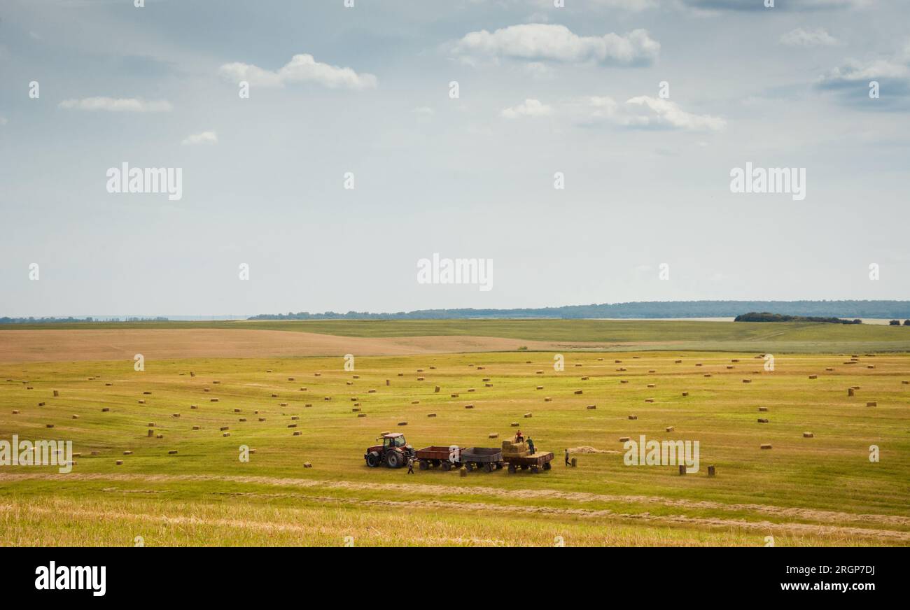 Raccolta di prodotti. Team di lavoratori agricoli con rimorchio per la raccolta di balle di fieno dal campo in un pomeriggio soleggiato in campagna collinare. Foto Stock