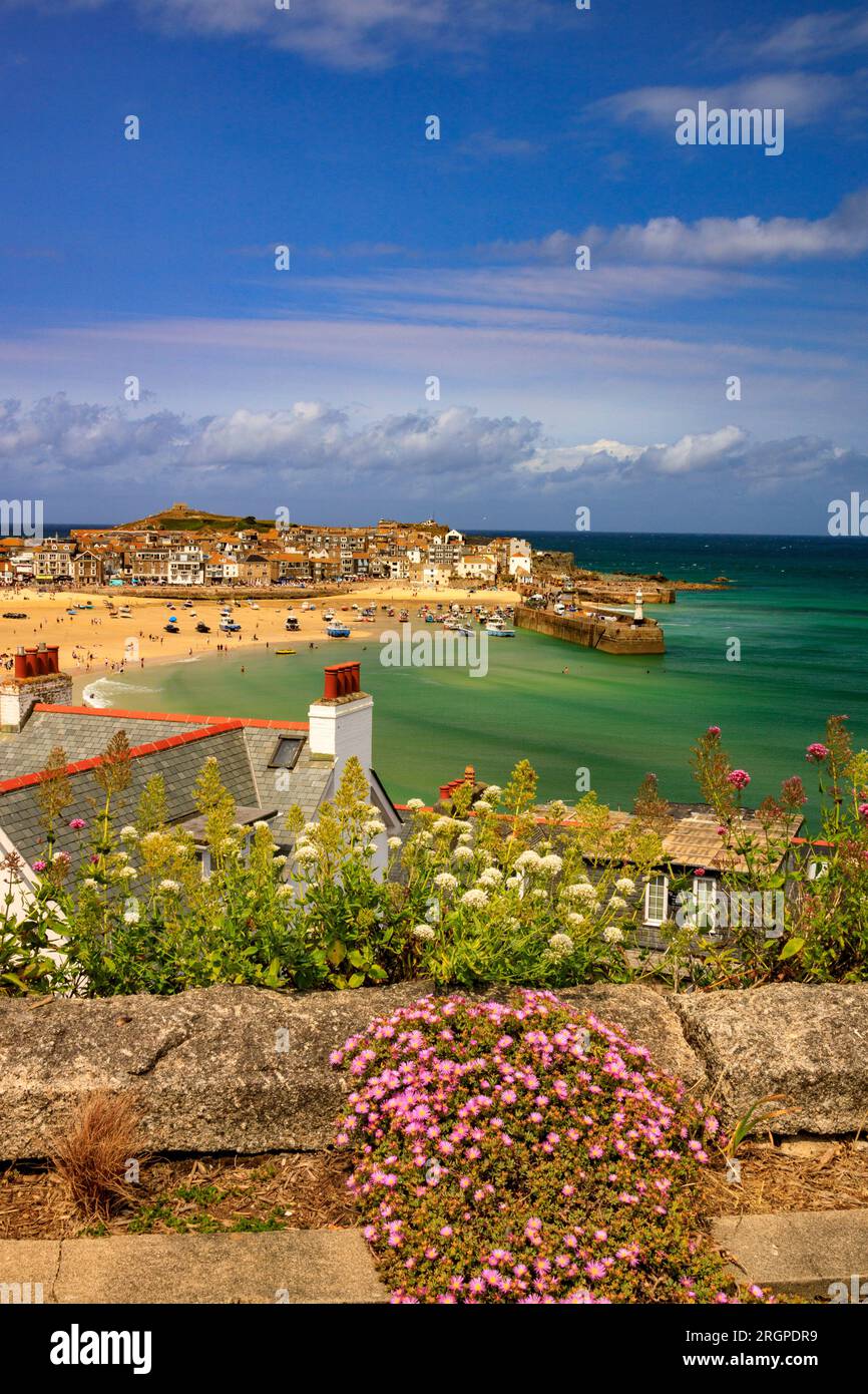 Affacciato sul pittoresco porto di St Ives, Cornwall, Inghilterra, Regno Unito Foto Stock