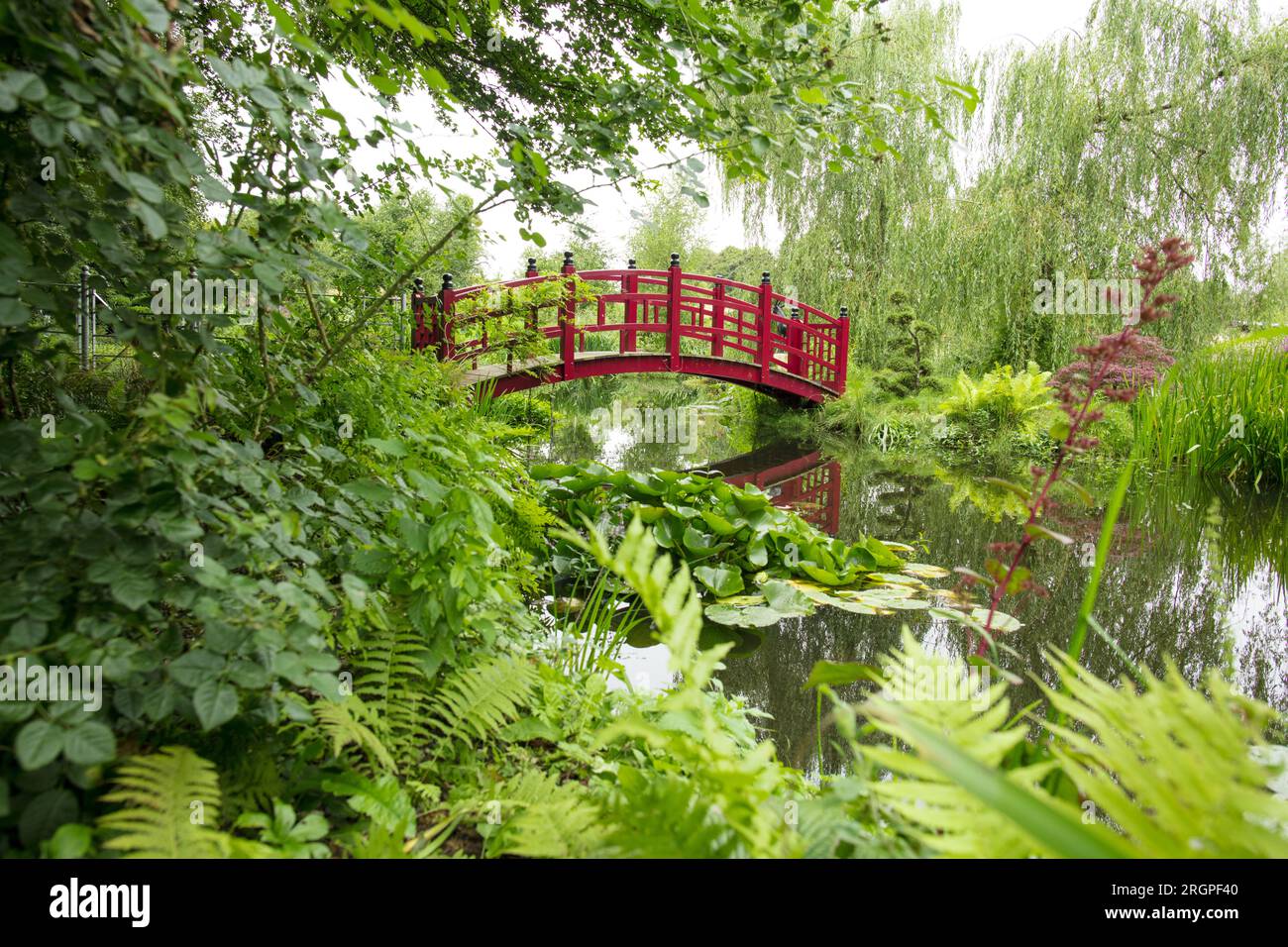 Giardino acquatico con Ponte Orientale. Giardino tranquillo. Foto Stock