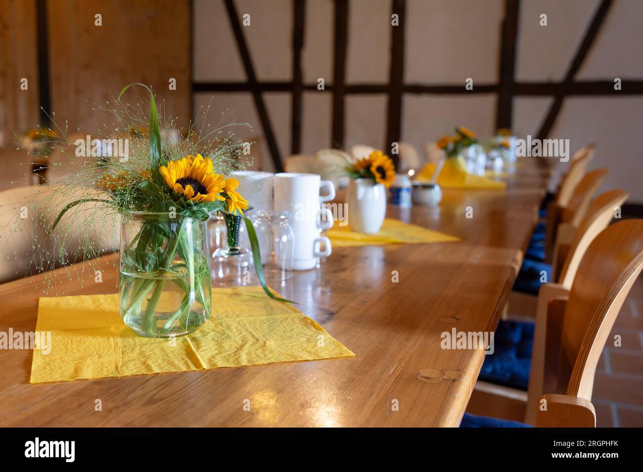 Lunghi tavoli in legno decorati con mazzi di girasoli e tazze da caffè per una riunione o un incontro informale di un'associazione in una sala in legno, poliziotto Foto Stock