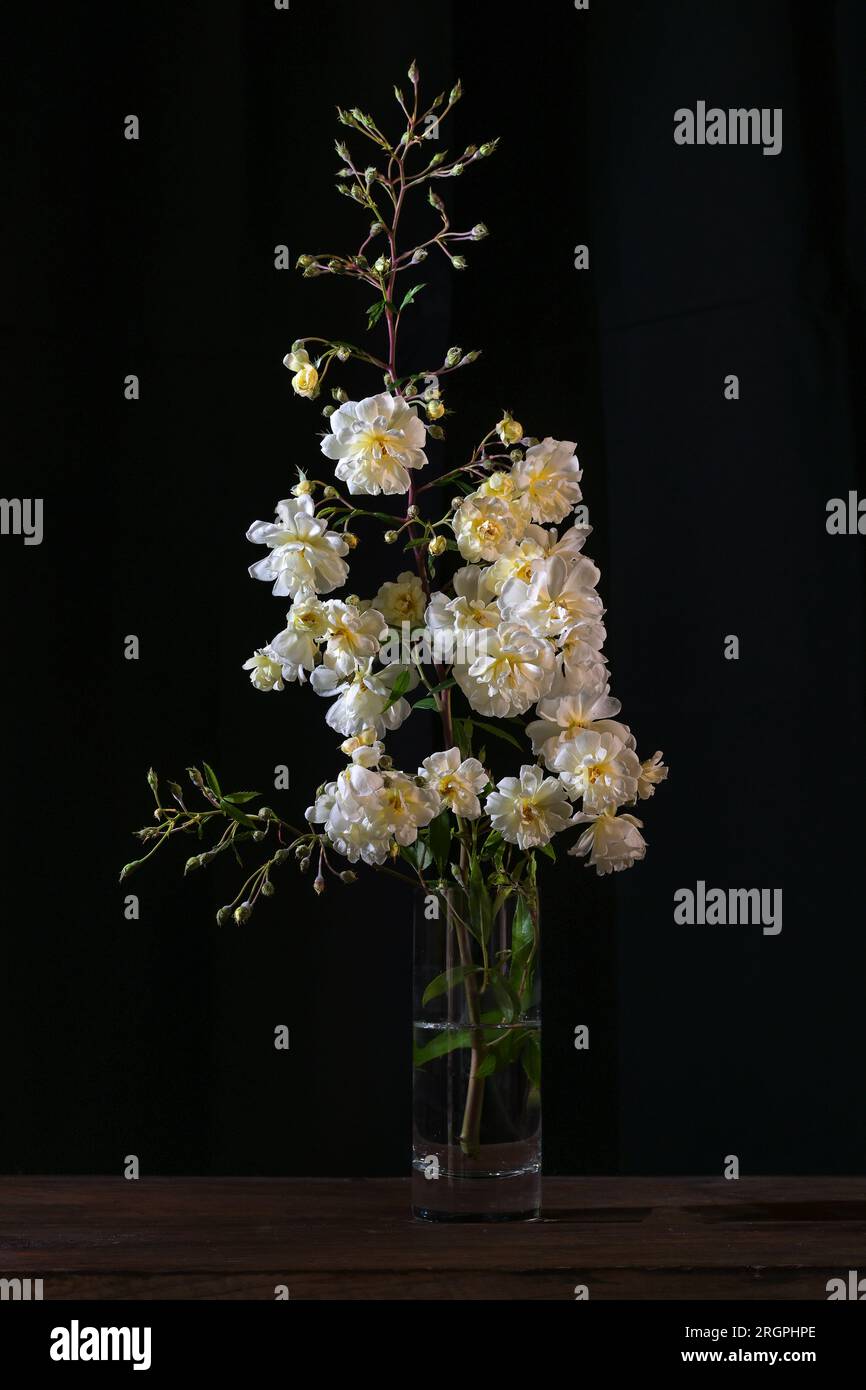 Rametto di rose vintage con fiori bianchi gialli in vaso di vetro su sfondo scuro, spazio di copia, messa a fuoco selezionata, verticale Foto Stock