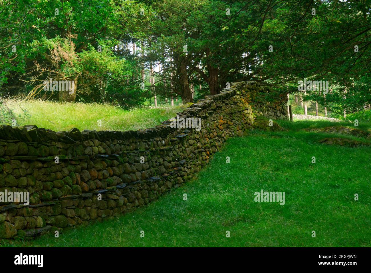 Muro di pietra a secco, Coniston, Cumbria Foto Stock