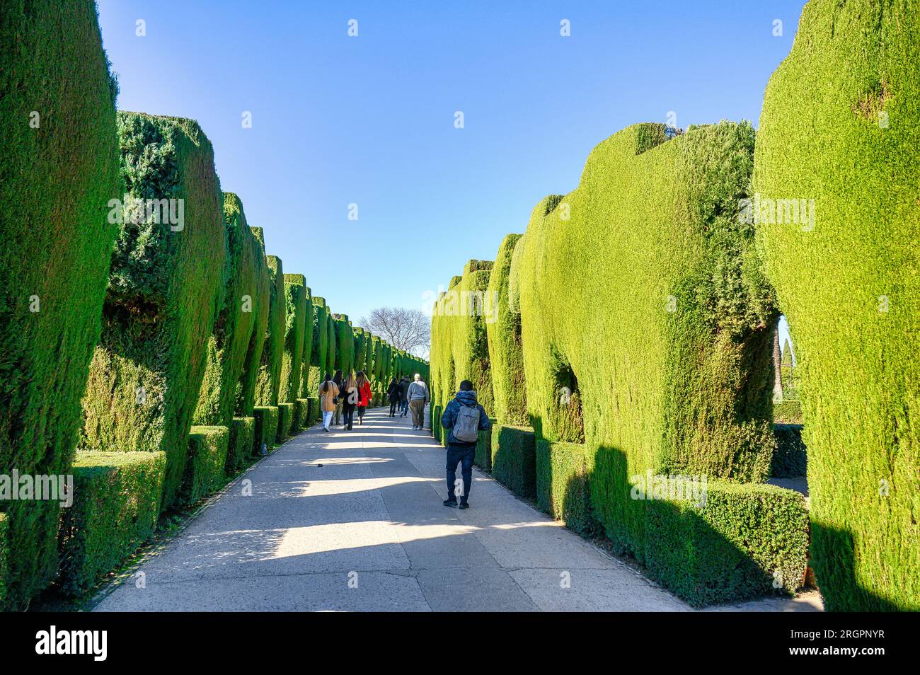 L'Alhambra, la Spagna, turisti o persone passeggiano nei giardini scolpiti del monumento internazionale. L'Alhambra è un palazzo medievale e un complesso di fortezza Foto Stock