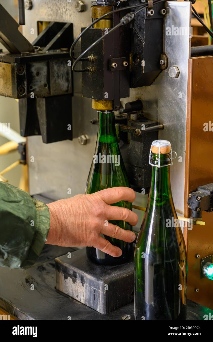 Procedura di sgorgamento e aggiunta di liquori dolci, metodo tradizionale di produzione di spumante da uve chardonnay e Pinor noir a Epernay, C Foto Stock